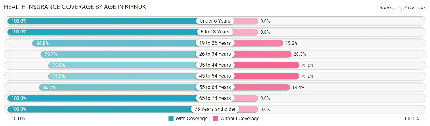 Health Insurance Coverage by Age in Kipnuk