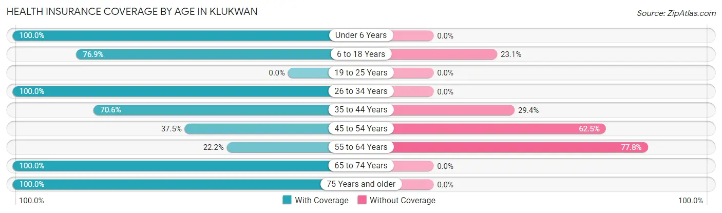 Health Insurance Coverage by Age in Klukwan