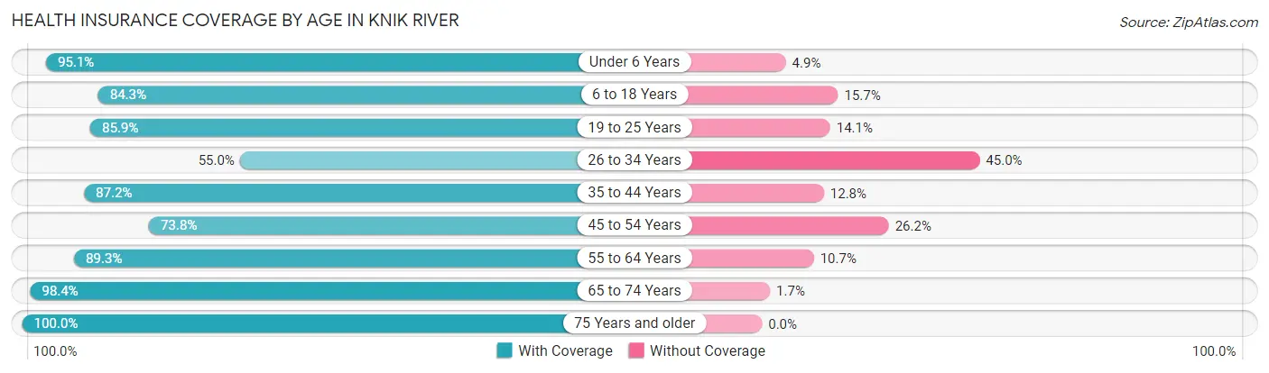 Health Insurance Coverage by Age in Knik River
