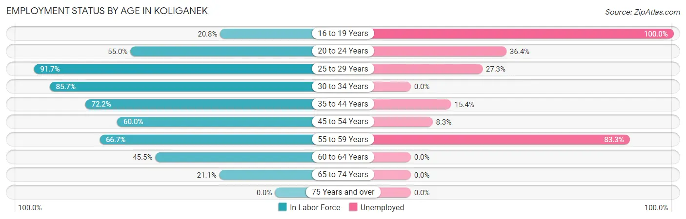 Employment Status by Age in Koliganek