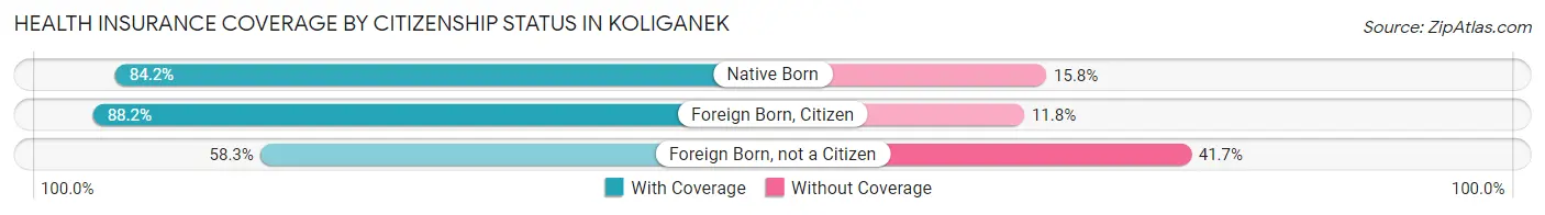 Health Insurance Coverage by Citizenship Status in Koliganek