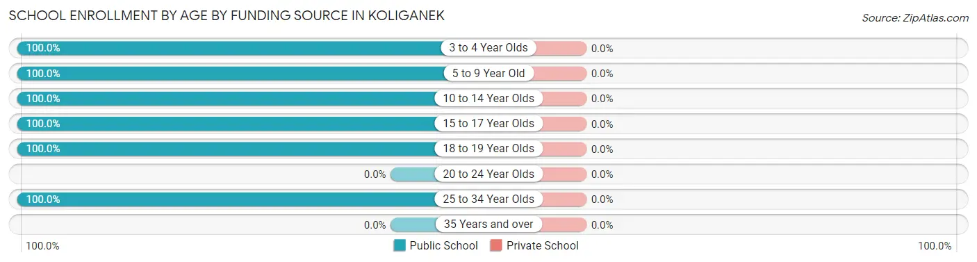 School Enrollment by Age by Funding Source in Koliganek