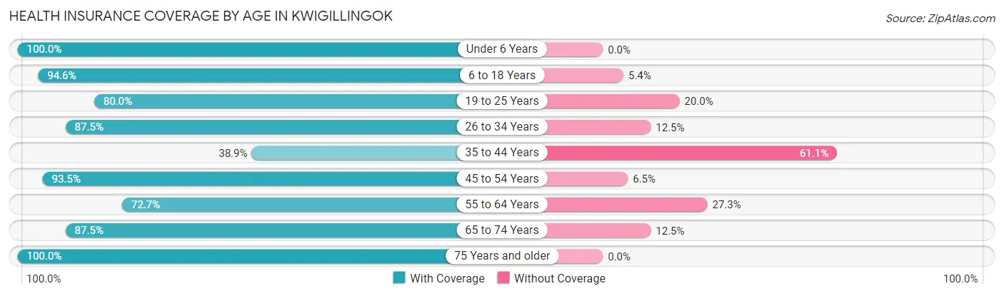 Health Insurance Coverage by Age in Kwigillingok
