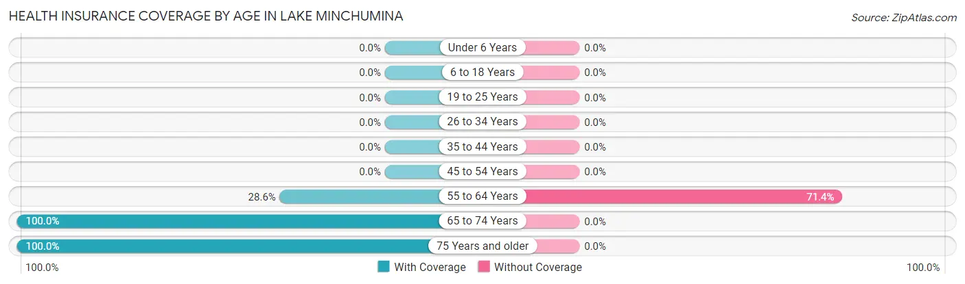 Health Insurance Coverage by Age in Lake Minchumina
