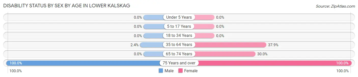 Disability Status by Sex by Age in Lower Kalskag