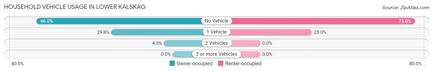 Household Vehicle Usage in Lower Kalskag