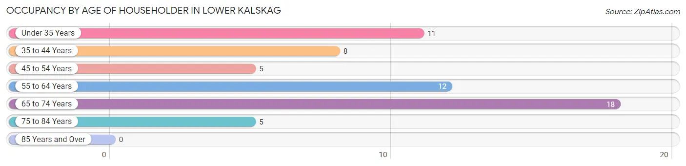 Occupancy by Age of Householder in Lower Kalskag