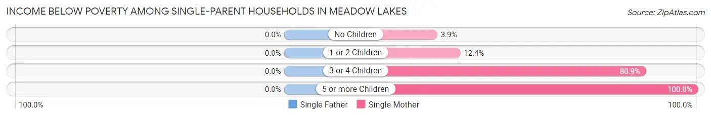 Income Below Poverty Among Single-Parent Households in Meadow Lakes