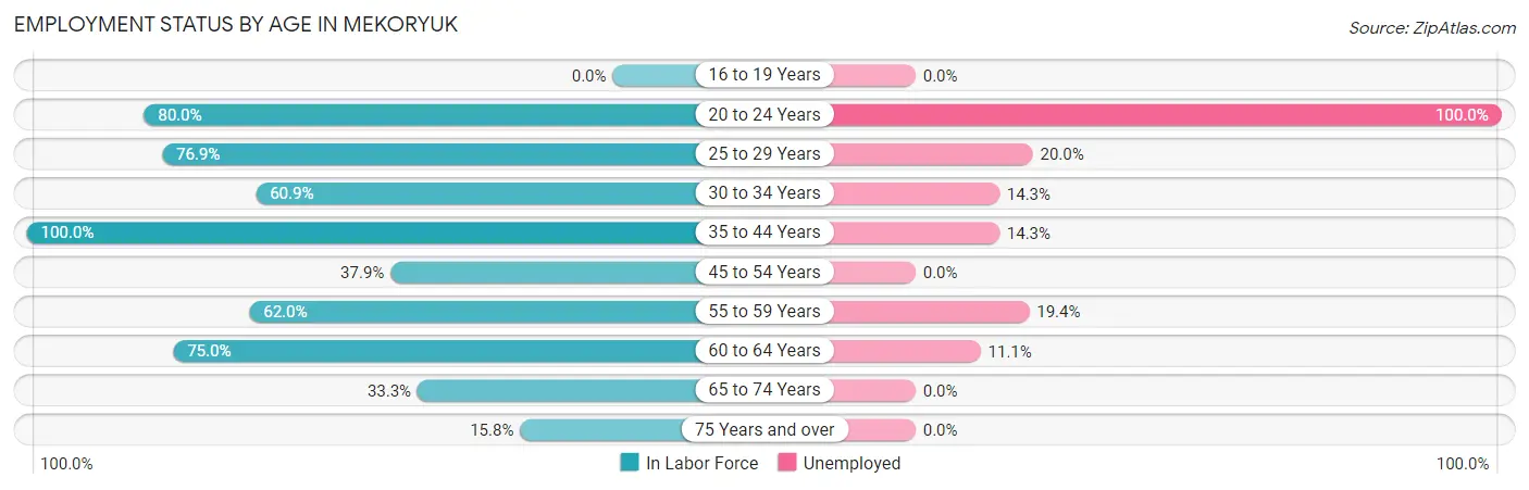 Employment Status by Age in Mekoryuk