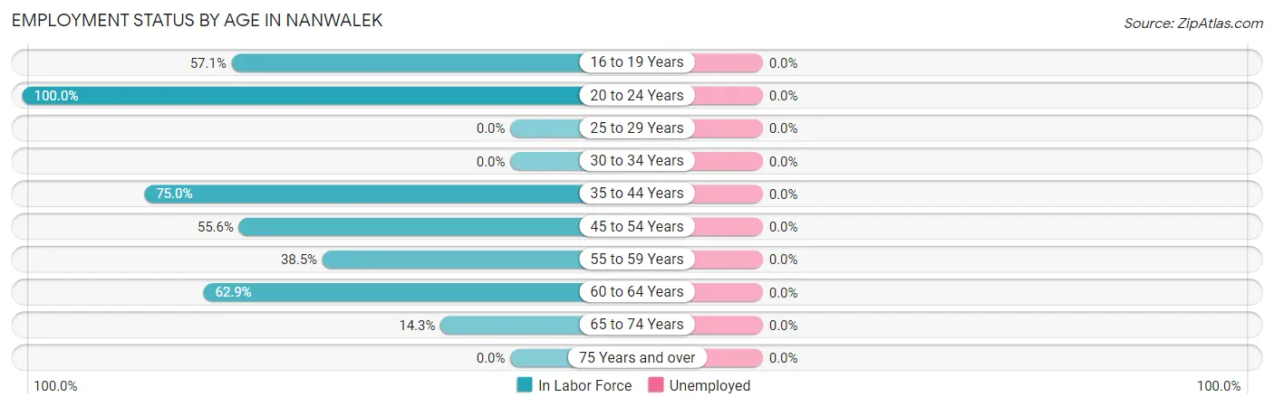 Employment Status by Age in Nanwalek