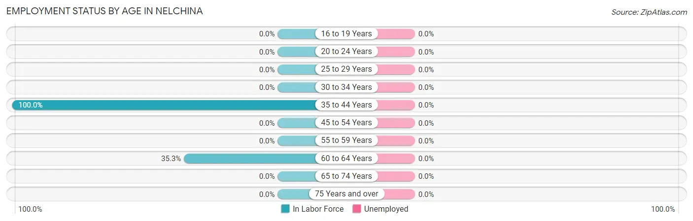 Employment Status by Age in Nelchina