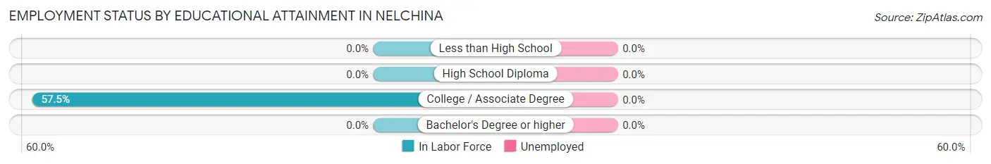 Employment Status by Educational Attainment in Nelchina