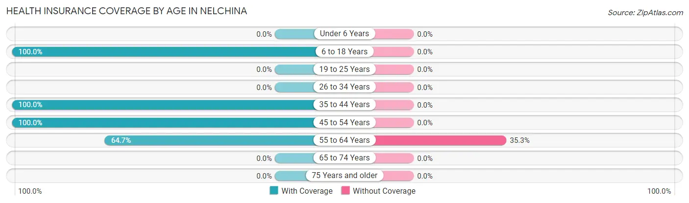 Health Insurance Coverage by Age in Nelchina
