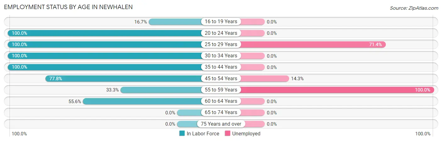 Employment Status by Age in Newhalen