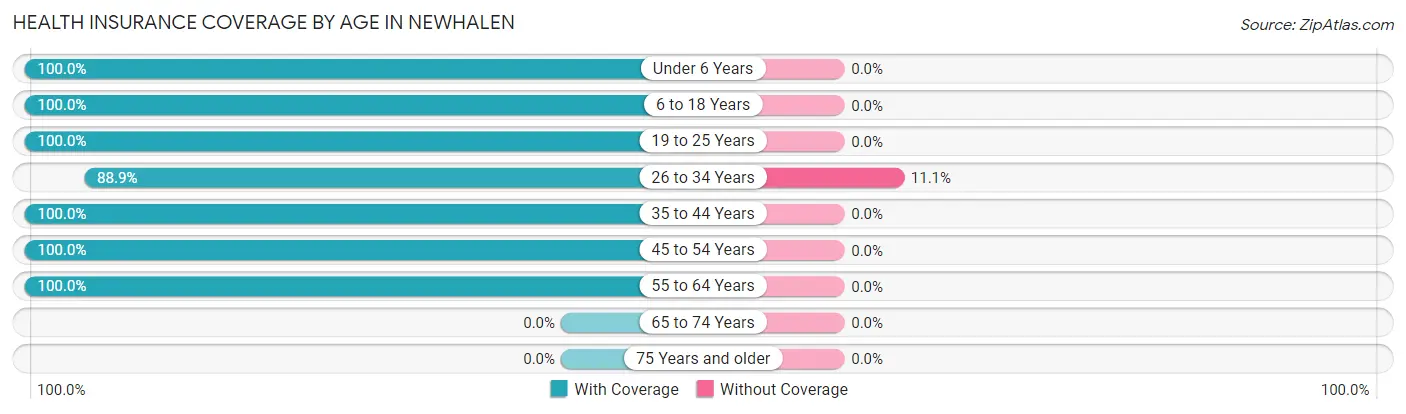 Health Insurance Coverage by Age in Newhalen