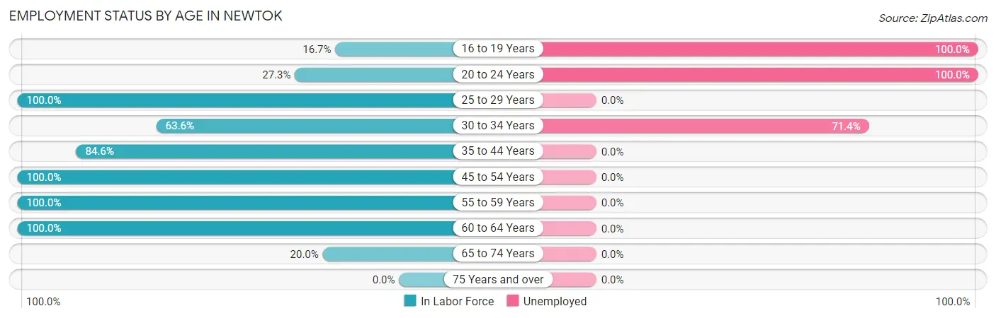 Employment Status by Age in Newtok