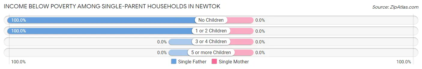 Income Below Poverty Among Single-Parent Households in Newtok