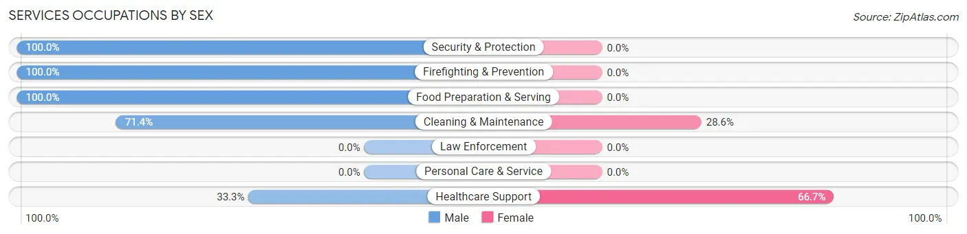 Services Occupations by Sex in Noatak