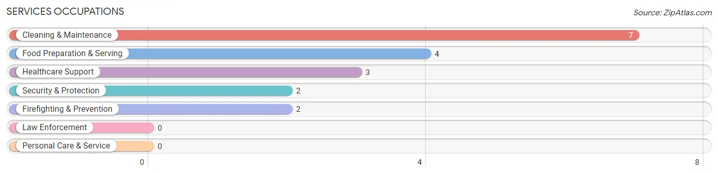 Services Occupations in Noatak