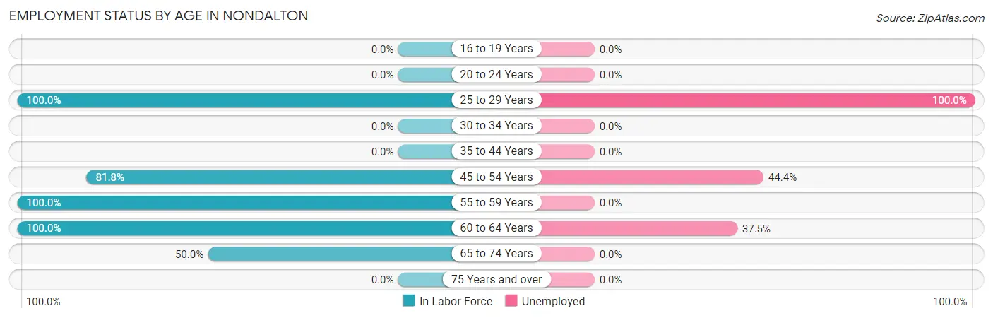 Employment Status by Age in Nondalton