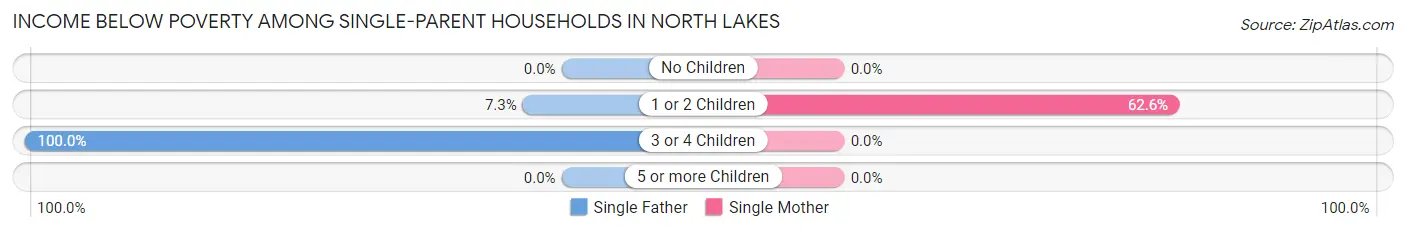 Income Below Poverty Among Single-Parent Households in North Lakes
