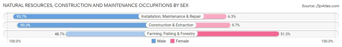 Natural Resources, Construction and Maintenance Occupations by Sex in North Lakes