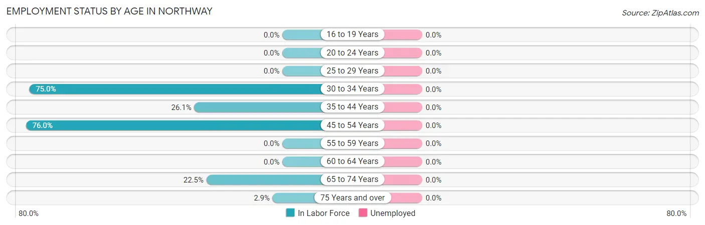 Employment Status by Age in Northway