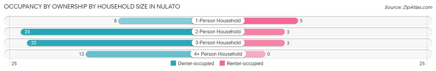 Occupancy by Ownership by Household Size in Nulato