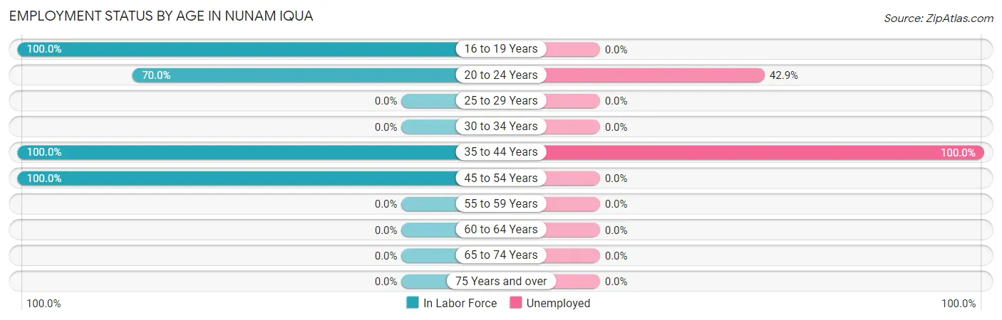 Employment Status by Age in Nunam Iqua