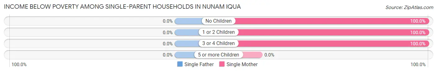 Income Below Poverty Among Single-Parent Households in Nunam Iqua