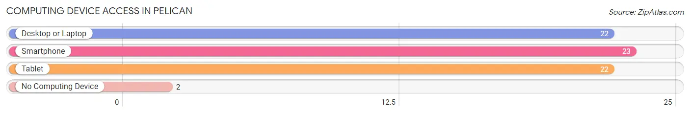 Computing Device Access in Pelican