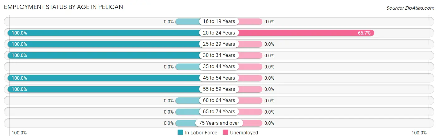 Employment Status by Age in Pelican