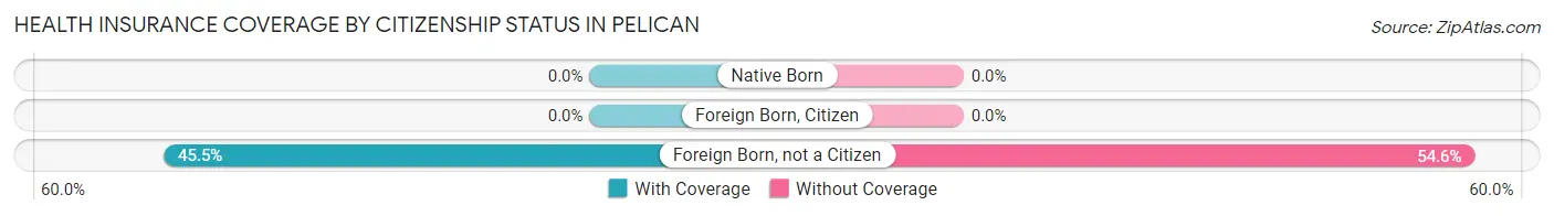 Health Insurance Coverage by Citizenship Status in Pelican