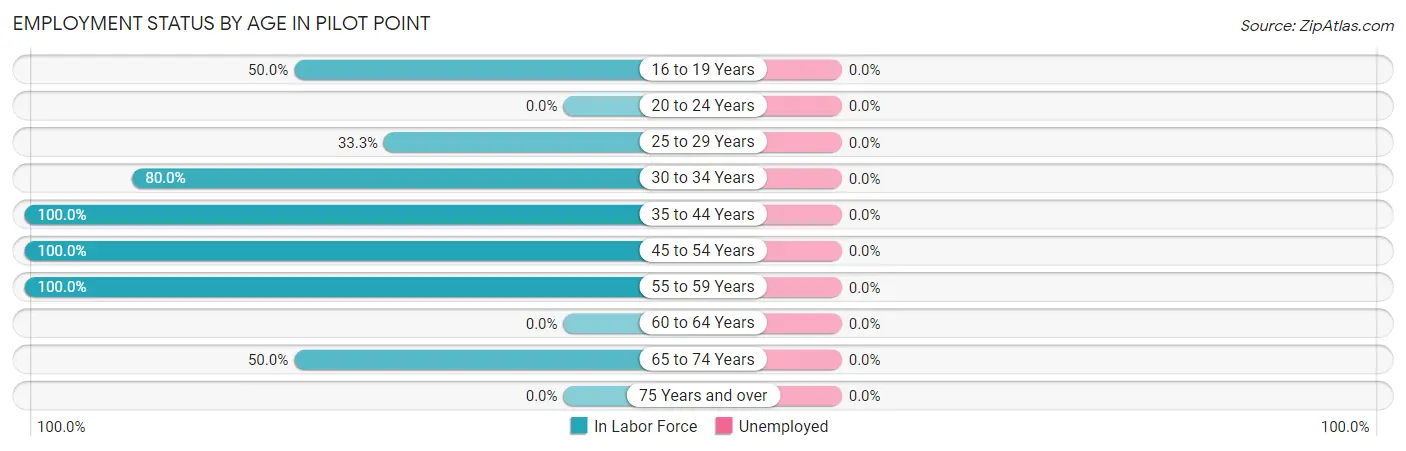 Employment Status by Age in Pilot Point
