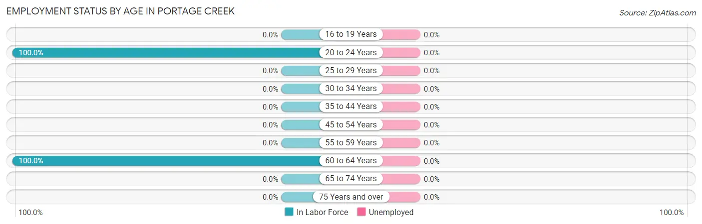 Employment Status by Age in Portage Creek