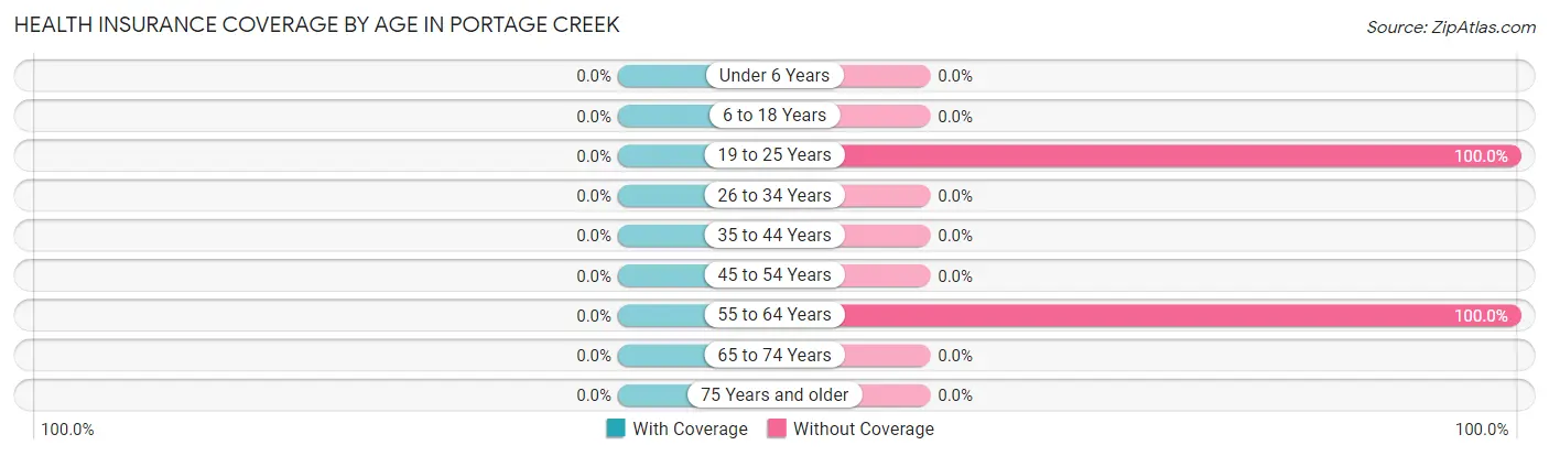 Health Insurance Coverage by Age in Portage Creek