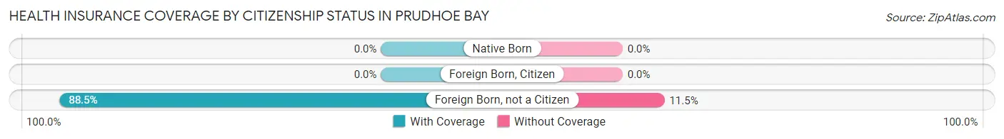 Health Insurance Coverage by Citizenship Status in Prudhoe Bay