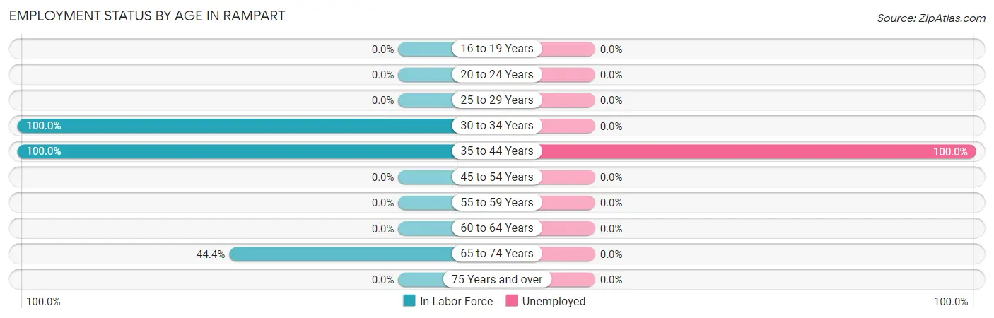 Employment Status by Age in Rampart