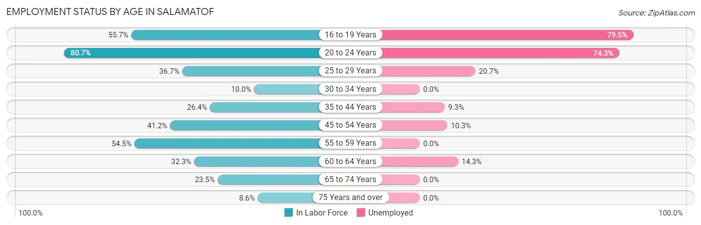 Employment Status by Age in Salamatof