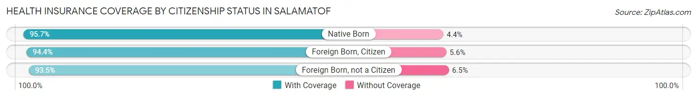 Health Insurance Coverage by Citizenship Status in Salamatof