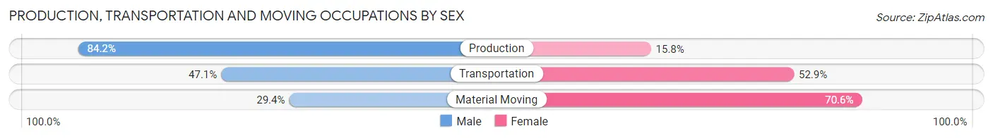 Production, Transportation and Moving Occupations by Sex in Salamatof