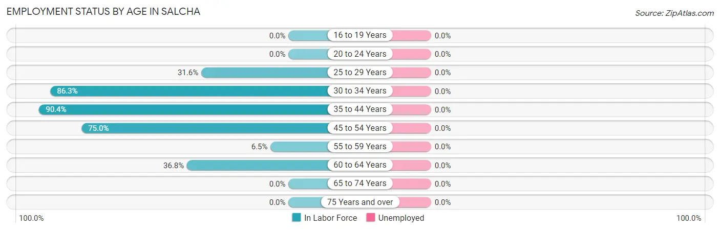 Employment Status by Age in Salcha