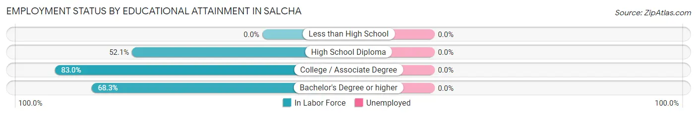 Employment Status by Educational Attainment in Salcha