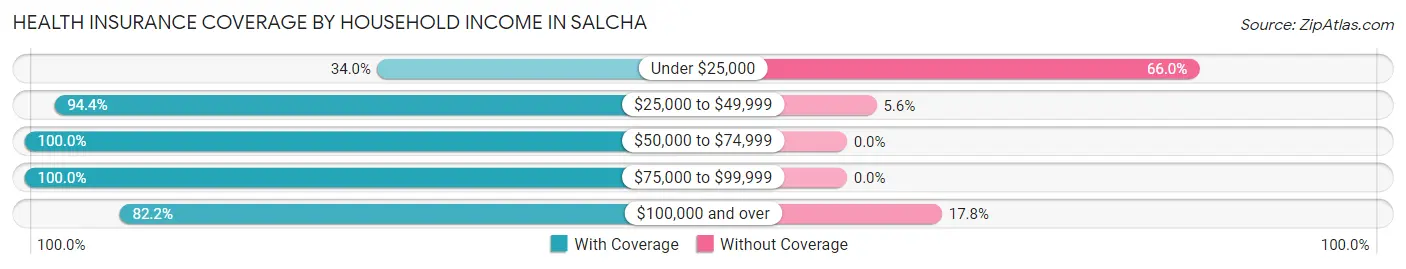Health Insurance Coverage by Household Income in Salcha