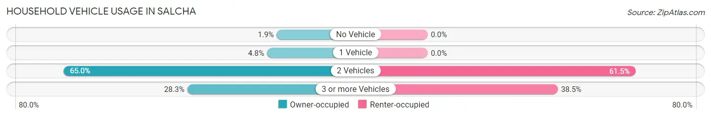 Household Vehicle Usage in Salcha