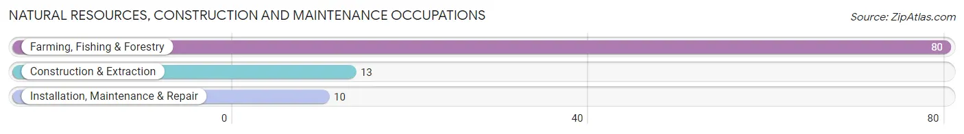 Natural Resources, Construction and Maintenance Occupations in Sand Point