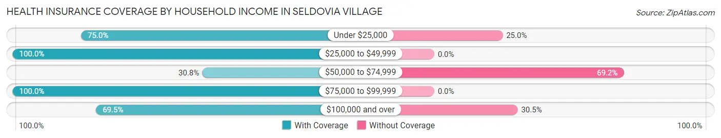 Health Insurance Coverage by Household Income in Seldovia Village