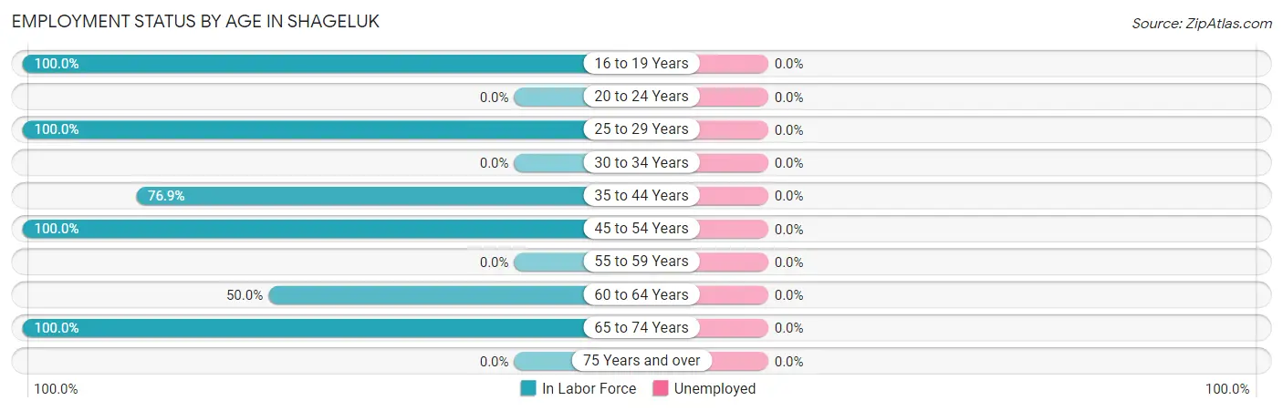Employment Status by Age in Shageluk