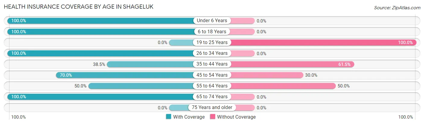 Health Insurance Coverage by Age in Shageluk