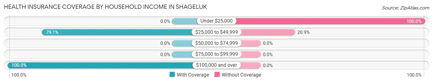 Health Insurance Coverage by Household Income in Shageluk
